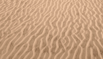 Fototapeta na wymiar Abstract sand wave pattern background. Banner with beach ripple texture. 