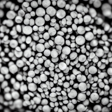 microscope substance texture © Dustin