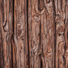 wood texture