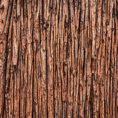 wood texture
