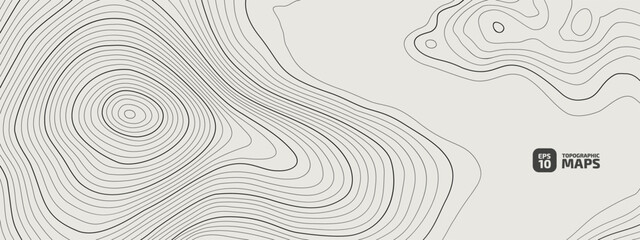 The stylized height of the topographic contour in lines. The concept of a conditional geography scheme and the terrain path. Black & White. Wide size. Vector illustration.	