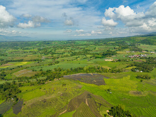 Obraz premium Rice plantations and farmland of farmers in a mountain valley. Negros, Philippines