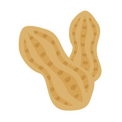 Peanut in the shell