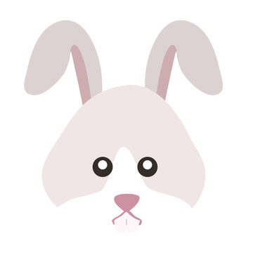 little rabbit cute cartoon animal
