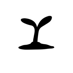 silhouette of tree buds