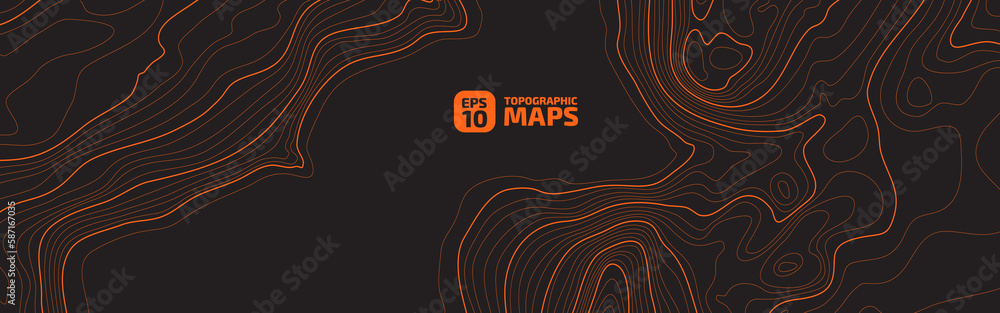 Fototapete the stylized height of the topographic map contour in lines and contours. the concept of a condition