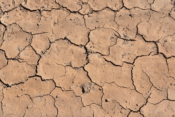 Cracked dry land as a result of drought caused by human environmental degradation such as deforestation, bad agricultural practices, intense farming and reduced space for natural forests and habitats