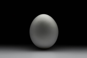 chicken egg close-up, the play of light and shadow