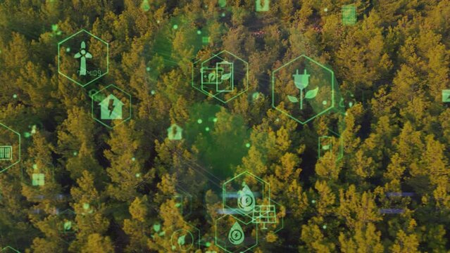 Green forest aerial view and environmental technology concept. Green tech. Ecology. Green transformation. GX. SDGs. High quality 4k footage