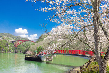 【岐阜県】恵那峡の赤い橋と満開の桜