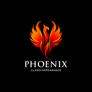 phoenix logo icon vector illustration template design