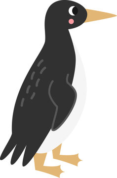 recommend clip art: Vector illustration of cartoon guillemot isolated on white background.