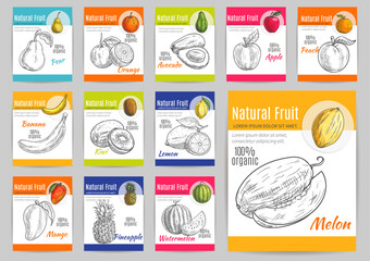 Exotic natural fruits poster with titles. Vector pencil sketch icons of pear, orange, avocado, apple, peach, banana, kiwi, lemon, mango pineapple watermelon melon