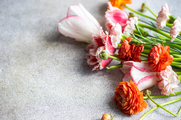 Seasonal flowers on concrete background