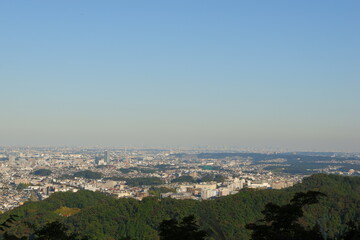 高尾山、高尾山口駅、山、自然、景色、眺め、天狗、眺望、富士山、東京、登山、日本、ハイキング、秋、2019、11月、山登り、タコ、たこの木、木の根、緑、空、山頂、木、葉