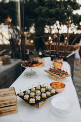 table setting for dinner with fruit on the summer terrace