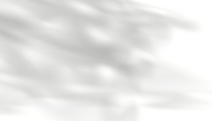 Leaves shadow overlay, Transparent Isolated Branches Leaf 