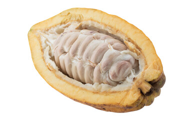 Cocoa fruit, raw Cacao beans, Cocoa pod. Fresh cocoa fruits isolated on a transparent background
