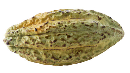 Cocoa fruit, raw Cacao beans, Cocoa pod. Fresh cocoa fruits isolated on a transparent background