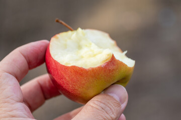 Red bitten apple in hand.