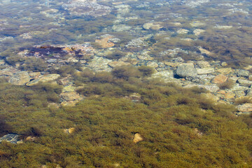 Transparent Seashore with Rocks and Plants