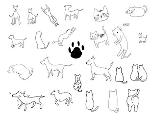 강아지와 고양이의 여러 가지 모습
