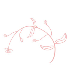 Floral Line Illustration