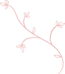 Floral Line Illustration