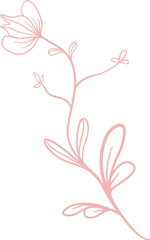 Floral Line Illustration