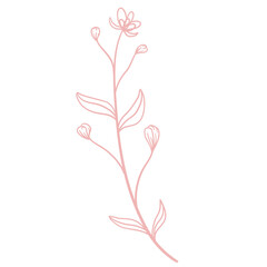 Floral Line Illustration