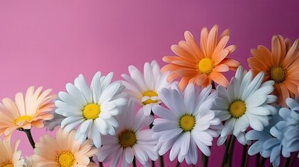 Fresh and delicate daisies on a pastel background, vibrant and colorful. Aesthetic and elegant floral composition. Generative AI