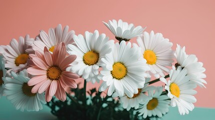 Fototapeta premium Fresh and delicate daisies on a pastel background, vibrant and colorful. Aesthetic and elegant floral composition. Generative AI