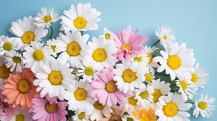 Fototapeta premium Fresh and delicate daisies on a pastel background, vibrant and colorful. Aesthetic and elegant floral composition. Generative AI