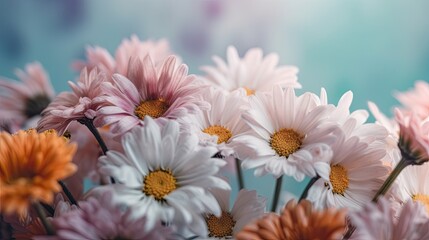 Fototapeta premium Fresh and delicate daisies on a pastel background, vibrant and colorful. Aesthetic and elegant floral composition. Generative AI