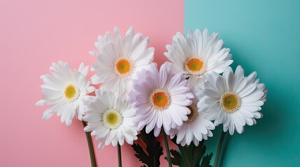 Obraz premium Fresh and delicate daisies on a pastel background, vibrant and colorful. Aesthetic and elegant floral composition. Generative AI