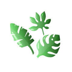 Tropical leaves on white background. Vector illustration for card, poster, banner, party invitation, menu.