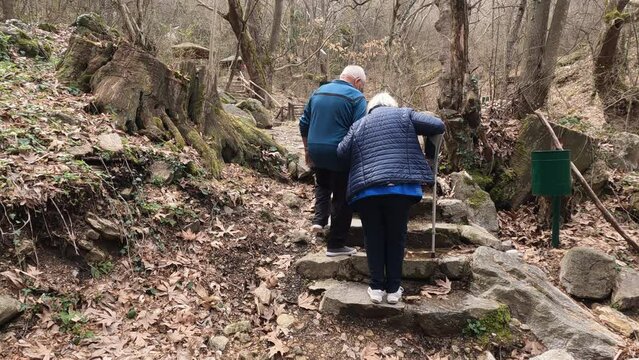 Senior couple walking together in a forest, disabled woman with crutches