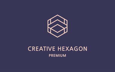 Creative Hexagon Logo Vector Illustration Design. Symmetrical Monogram Business Logo.