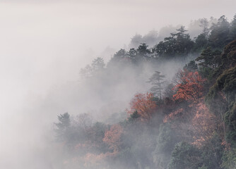 霧かかる紅葉した山