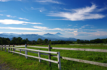 Fototapeta na wymiar 8月の牧場と富士山遠望