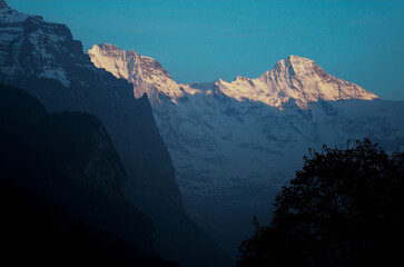 A view of the alpenglow on the high Alp mountains above Wengen