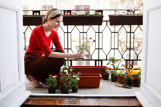 young woman plants flowers in pots on the balcony in spring