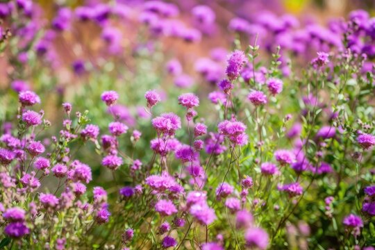 natural background of flowers. Beautiful natural scene of purple flowers blooming in a garden in the middle of the summer. Generative AI