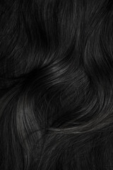 Brunette or black hair. Female long dark hair in black. Beautifully laid curls. Closeup texture in a dark key. Hairdressing, hair care and coloring. Shading gray hair. Background with copy space.