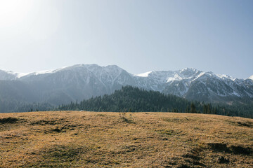 The photo captures a panoramic view of a mountain gorge covered with grass, rocks, and forest, with high mountains visible in the distance.