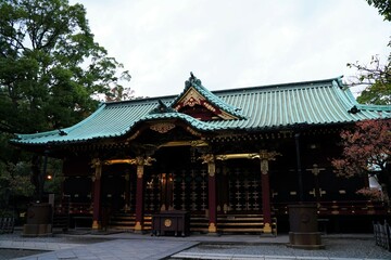 根津神社、東京、神社、日本、鳥居、秋、11月、2019、銀杏、紅葉、黄色、看板、案内、標識、赤い、門、初詣、参拝、神道、建物、参道、