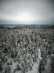 Aerial view of trees in the middle of a snowy forest in the Nuuksio National Park in a snowy Finland