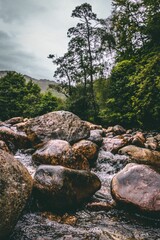 Obraz premium Vertical shot of the rocky shore of Glenfinnan Viaduct in Scotland