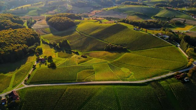 Aerial drone footage of Kog. It is a village in the hills northeast of Ormož in northeastern Slovenia, right on the border with Croatia.