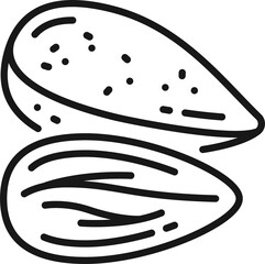 Edible seed of almond nut isolated shelled drupes